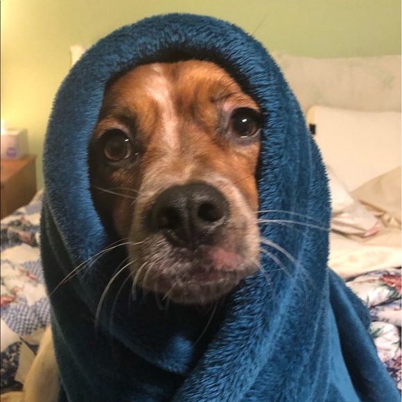 This is Me: Emily - Picture 2 of 4